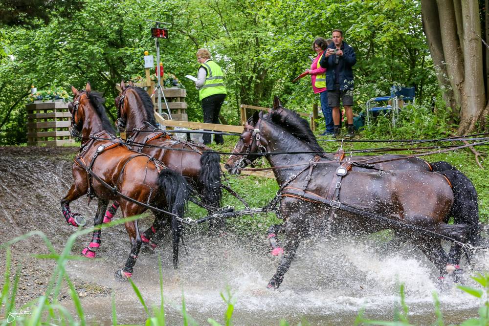 Royal Windsor Horse Show 2023: Marathon