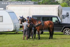 Royal Windsor Horse Show 2023: Behind the scenes