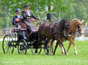 Bornem 2023: Dressage