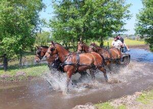 Perfecte trainingsdag in Kootwijkerbroek