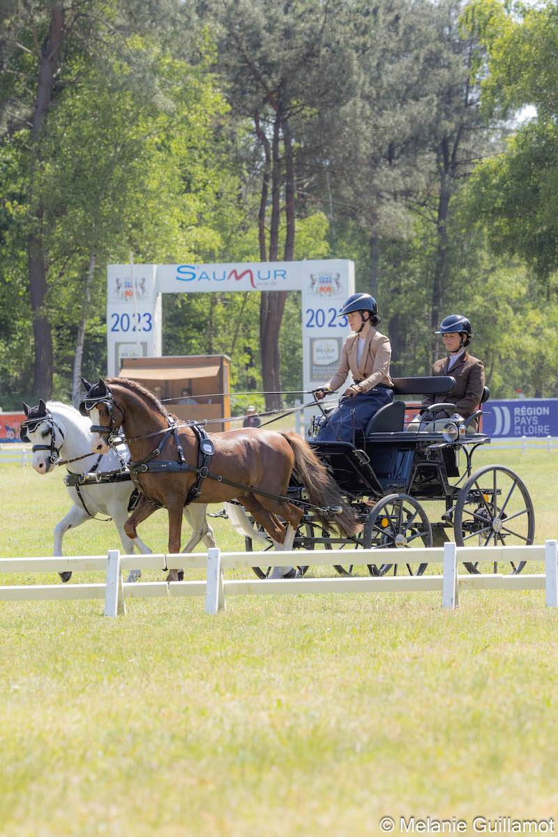 Saumur 2023: Horse inspection + dressage Wednesday