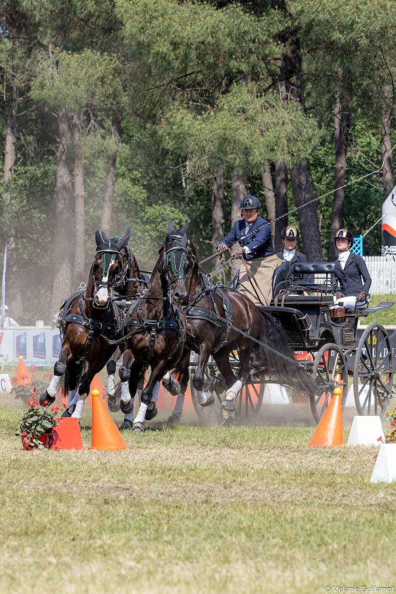 Saumur 2023: Cones