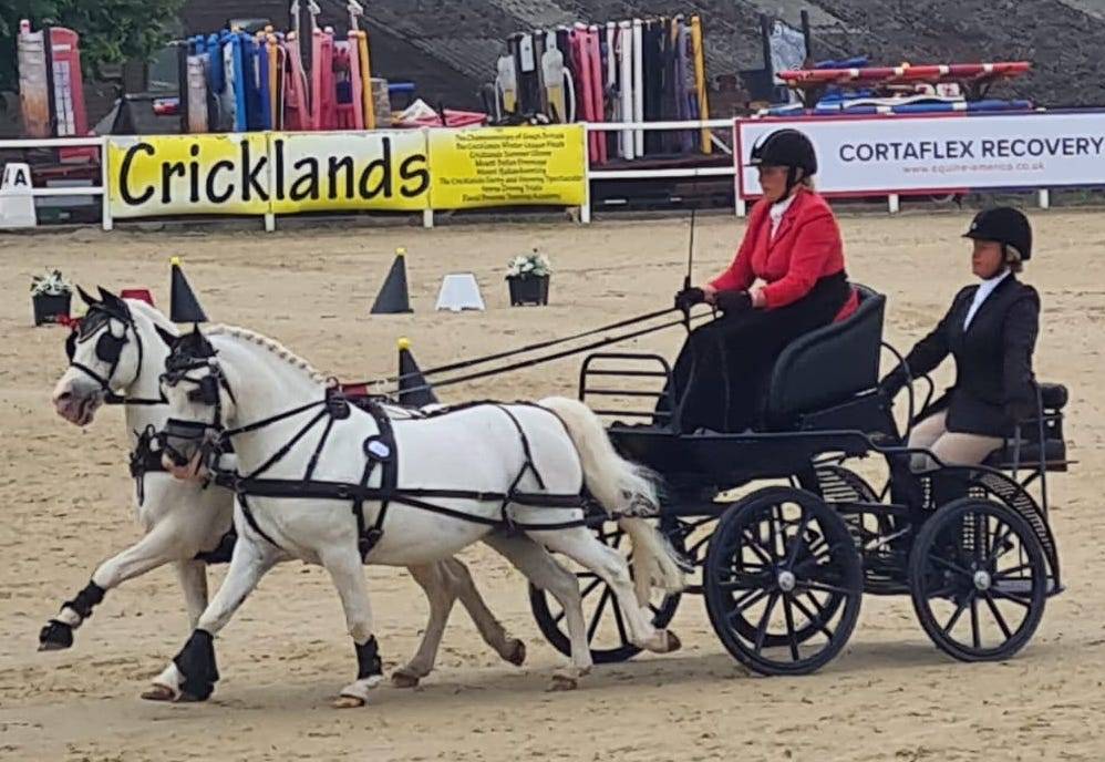 Van der Wiel harness and Saskia Siebers developing new harness  Van der  Wiel Harness, joins forces again with World Single Champion Saskia Siebers  to design a new harness. Together we are