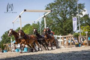 Nederlandse twee-en vierspan ponymenners domineren Wereldranglijst