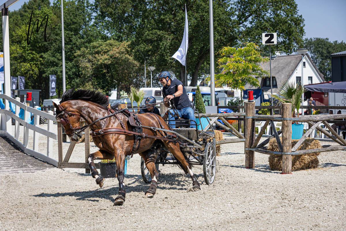 NK pony’s en SWM Hellendoorn 2023