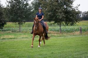 Paardvriendelijk presteren centraal tijdens online event