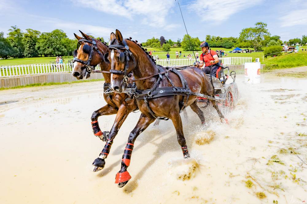 Haras du Pin 2023: Marathon