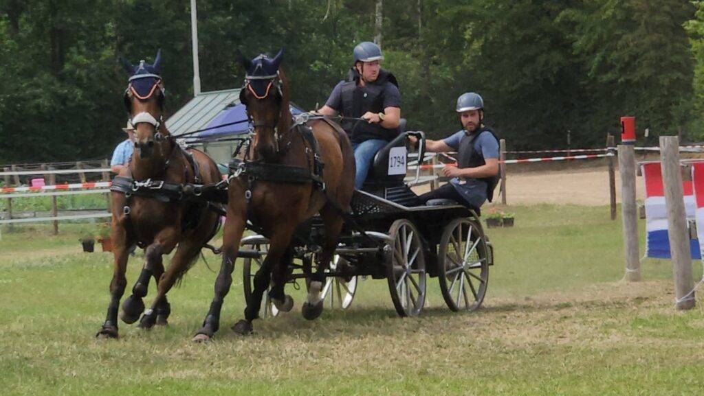 Warm, maar zeer geslaagd Horsedriving Wenum Wiesel