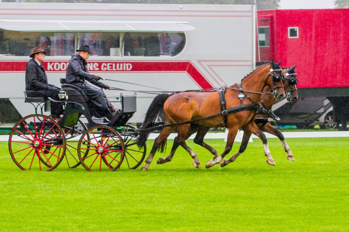 CAIO Beekbergen 2023: Dressage Thursday + Friday