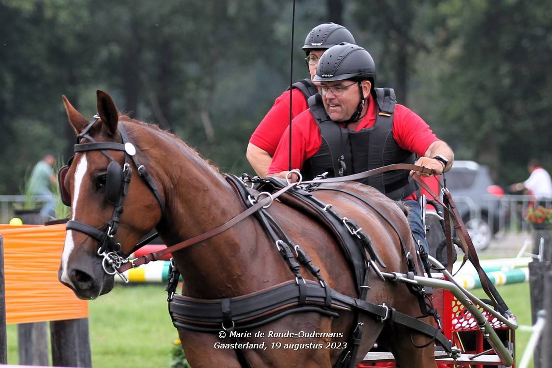 NK enkel-en tweespan paarden 2023: Marathon