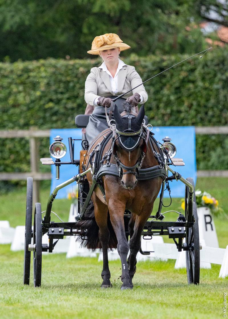 WCH for Ponies Oirschot 2023: Dressage Wednesday