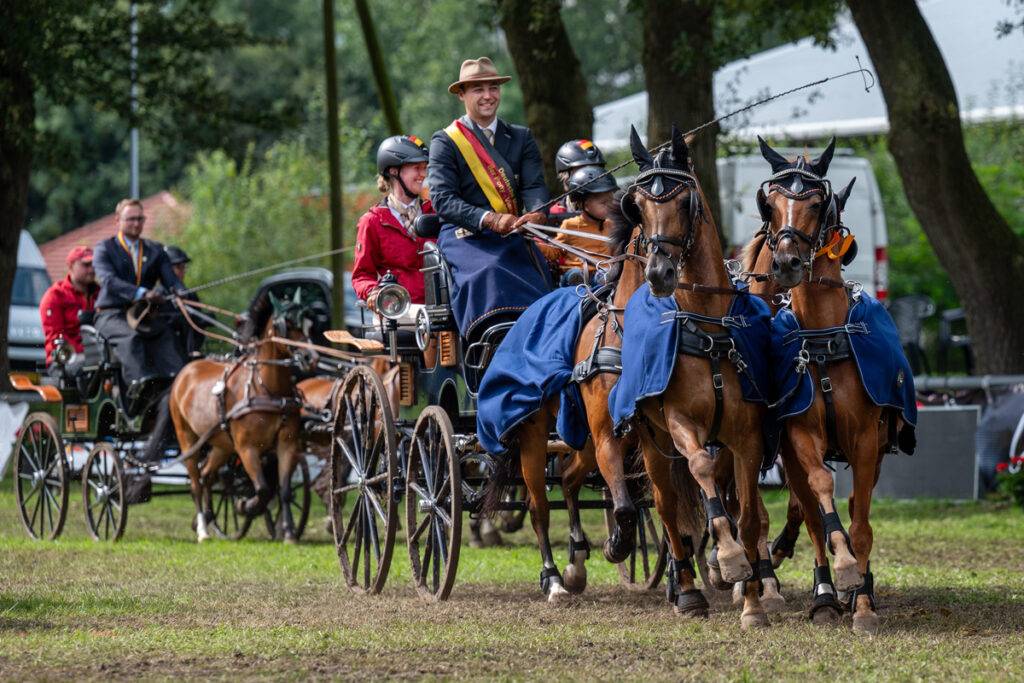 DM Pony- und Para-Fahren: Erfolgreiche Titelverteidiger und neue deutsche Meister