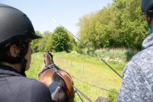 Buitenrit: Gezond voor ruiter én menner