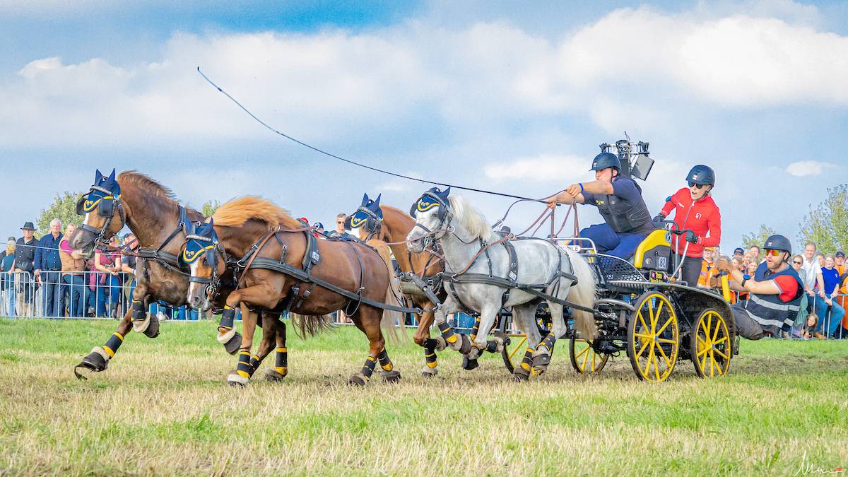 WCH for Ponies Oirschot 2023: Marathon