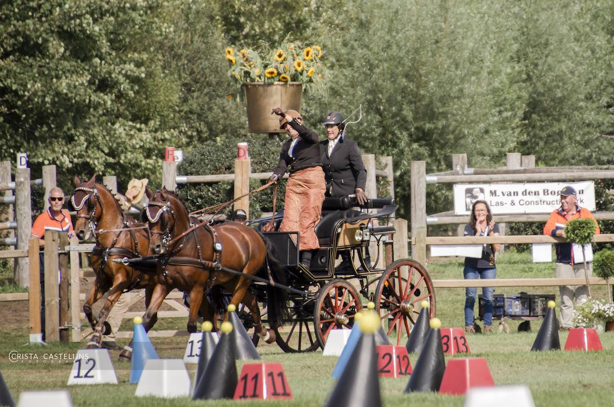WCH for Ponies Oirschot 2023: Cones + Prize Giving