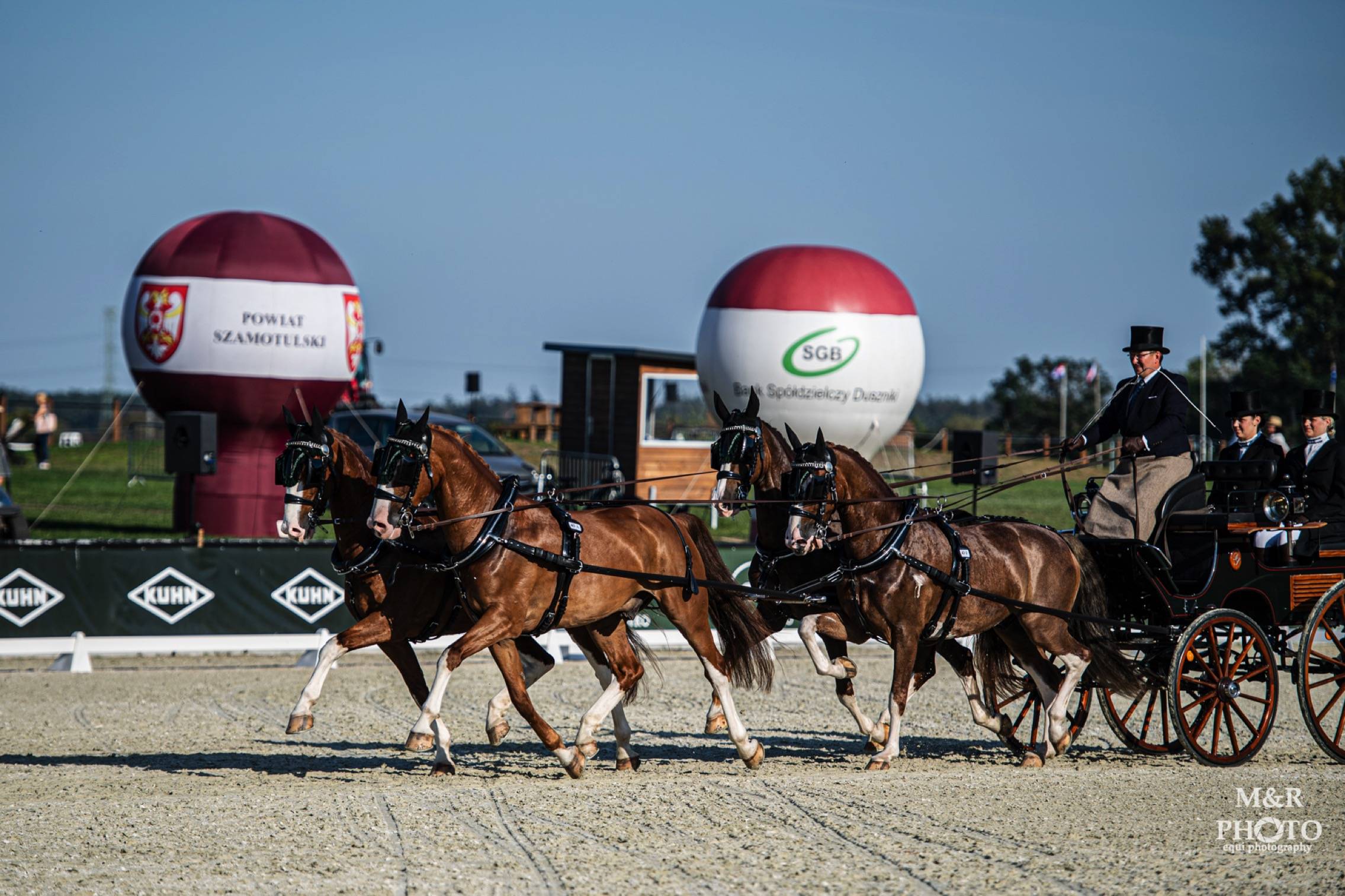 CAIO Baborówko 2023: Dressage