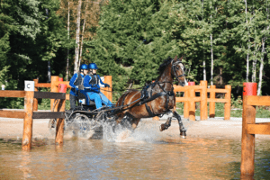 Great success in Tagadi for the Finnish drivers