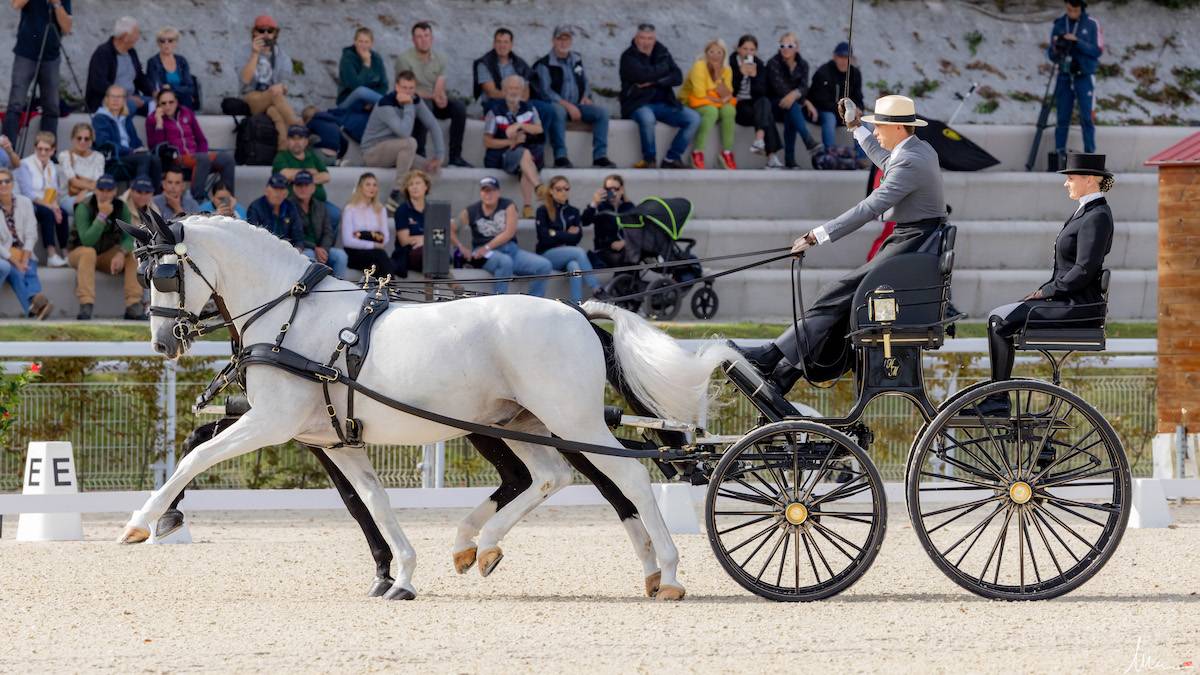 WCH Haras du Pin 2023: Dressage Friday