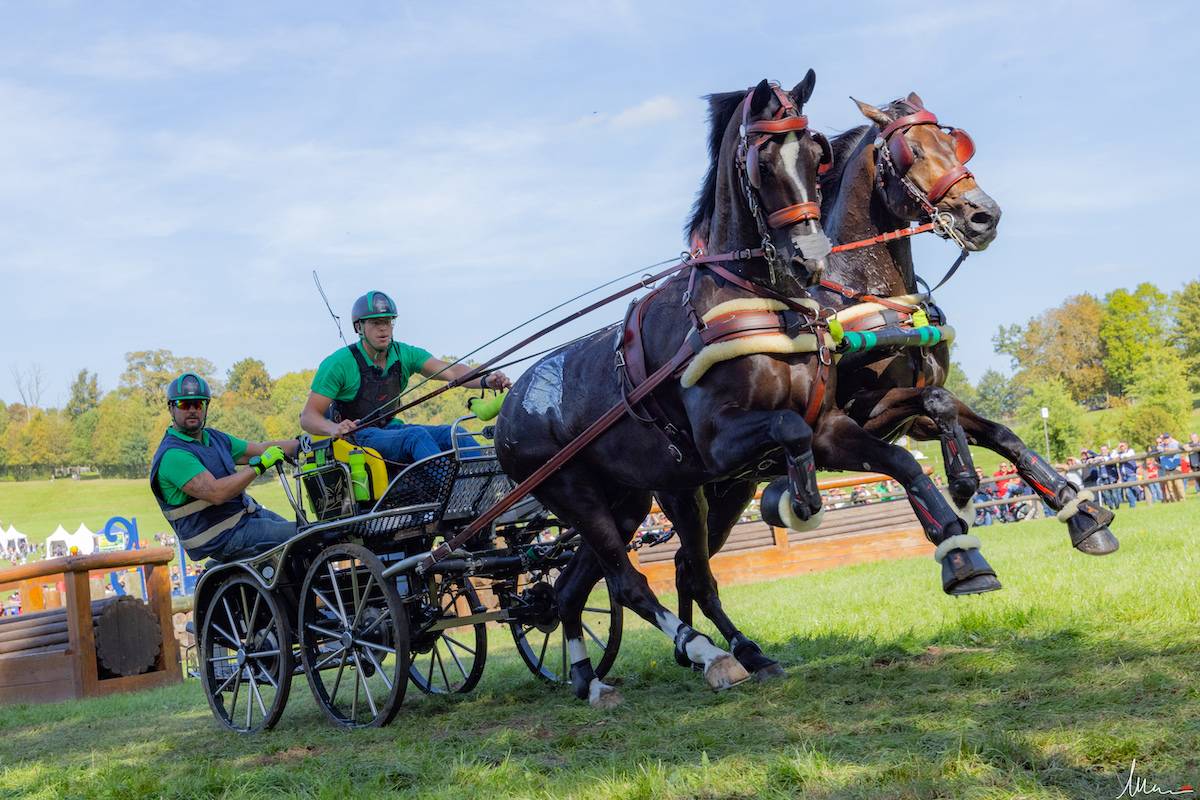 WCH Haras du Pin 2023: Marathon