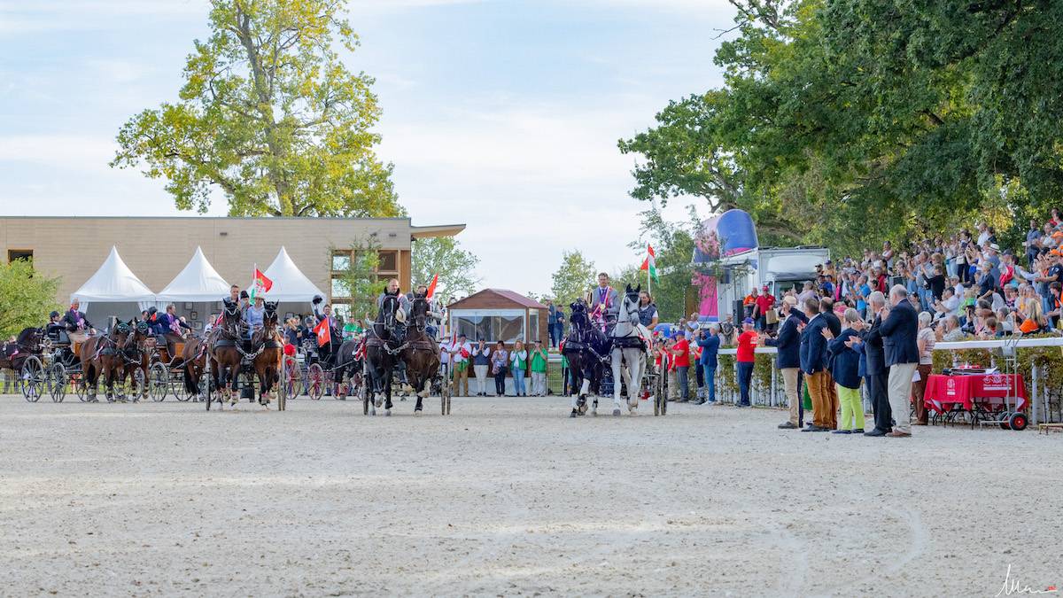 WCH Haras du Pin 2023: Cones + Prize Giving