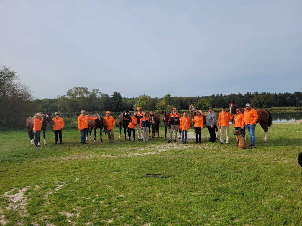 WK Jonge Menpaarden: Eén paard naar herkeuring