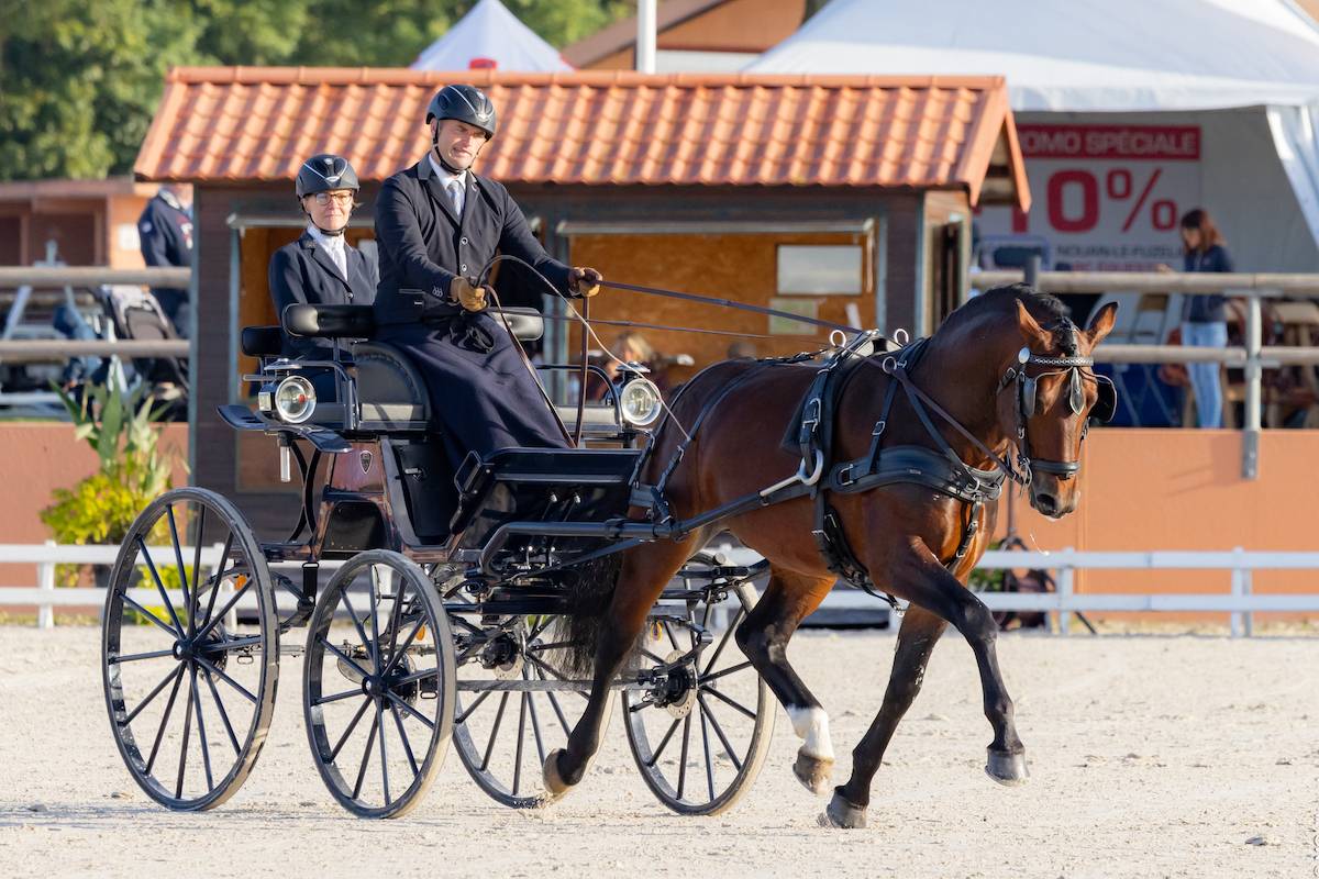 WCH Young Horses Lamotte Beuvron: Saturday