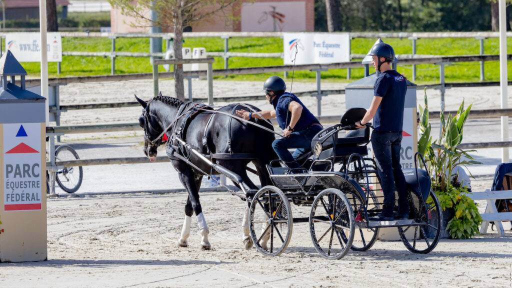 WK Jonge Menpaarden: Nieuwe Wereldkampioenen bekend