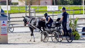 WK Jonge Menpaarden: Nieuwe Wereldkampioenen bekend