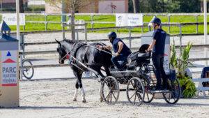 WK Jonge Menpaarden: Nieuwe Wereldkampioenen bekend