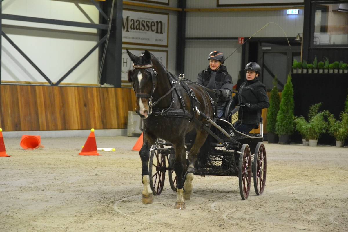 Menindoor Deurne 2023