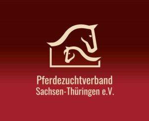 Het Saksisch-Thüringer Zwaar Warmbloed-paard: Traditie ontmoet sportief succes