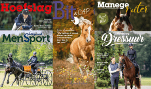 Gezocht: Stagiair redactie MP Horses