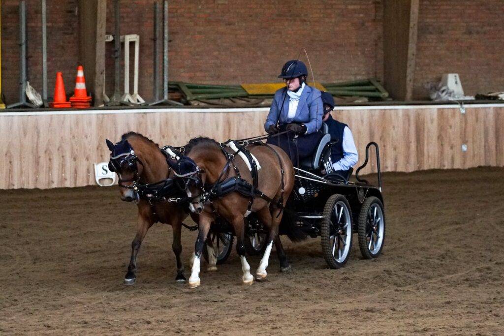 Menners actief in Hippisch Centrum Avinia Staete Winschoten