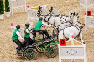 Bram Chardons Dreef Kapitany FEI-Pferd des Monats