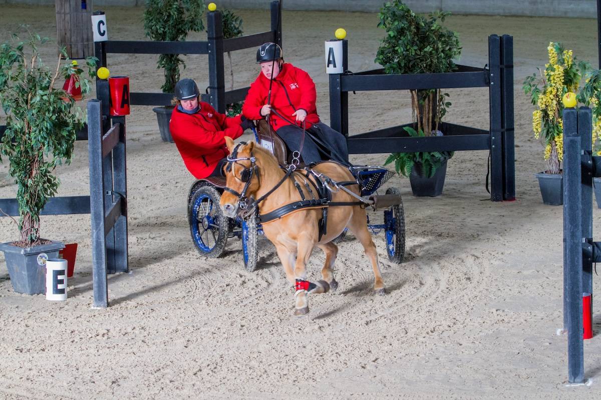 Junior Strijd der Districten 2024