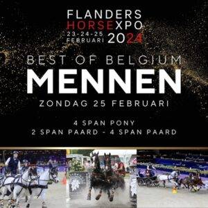 “Best of Belgium: Mennen” op Flanders Horse Expo in Gent
