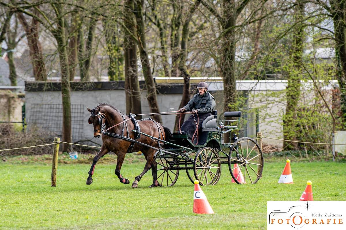 Dressuur en vaardigheid Heesch 24 mrt 2024