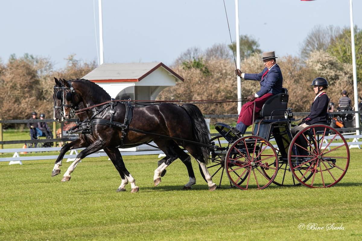 Morkov – Raevebjerg 2024: Dressage Thursday