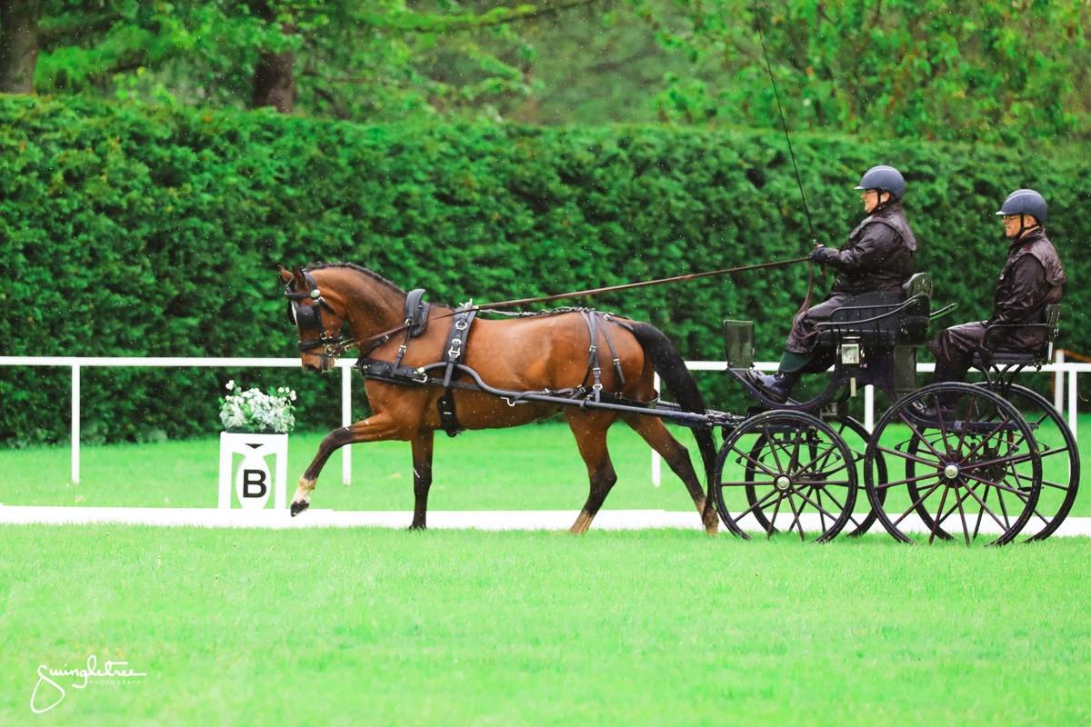 Royal Windsor Horse Show 2024: Dressage