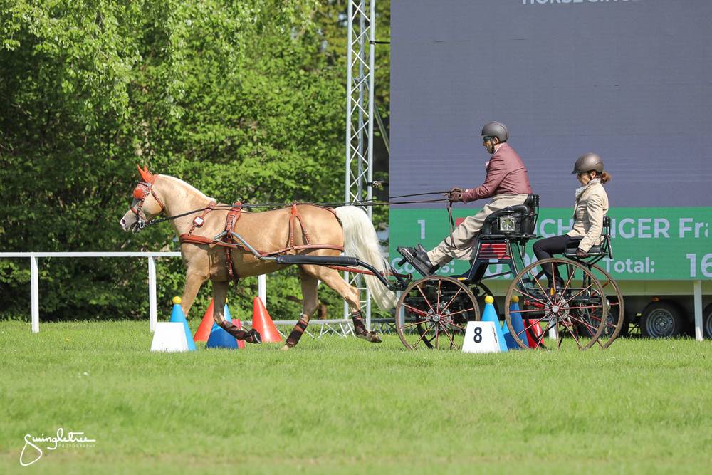 Royal Windsor Horse Show 2024: Cones