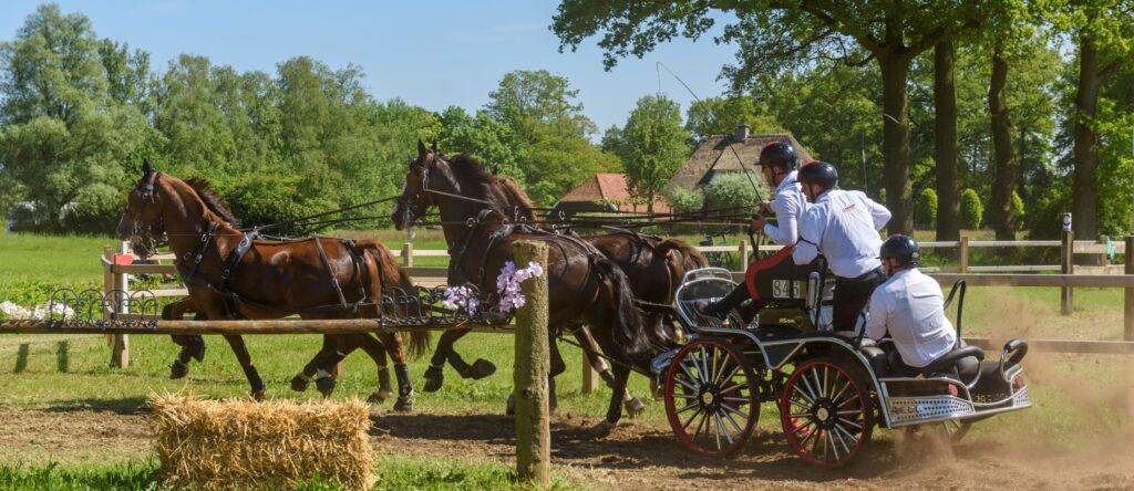 Zonovergoten SWM bij manege achter ’n bos