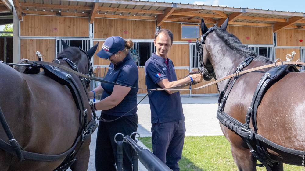 Le Pin au Haras 2024: Horse Inspection