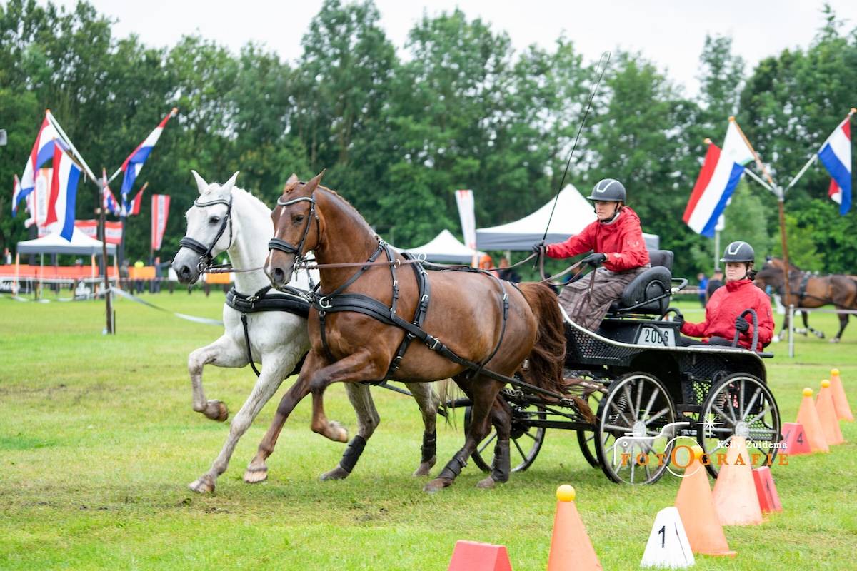 SWM Schijndel 2024