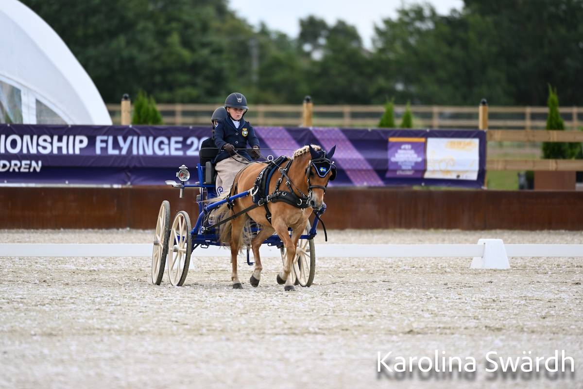 FEI Driving European Championship for U25, Juniors & Children Flyinge 2024: Dressage Wednesday