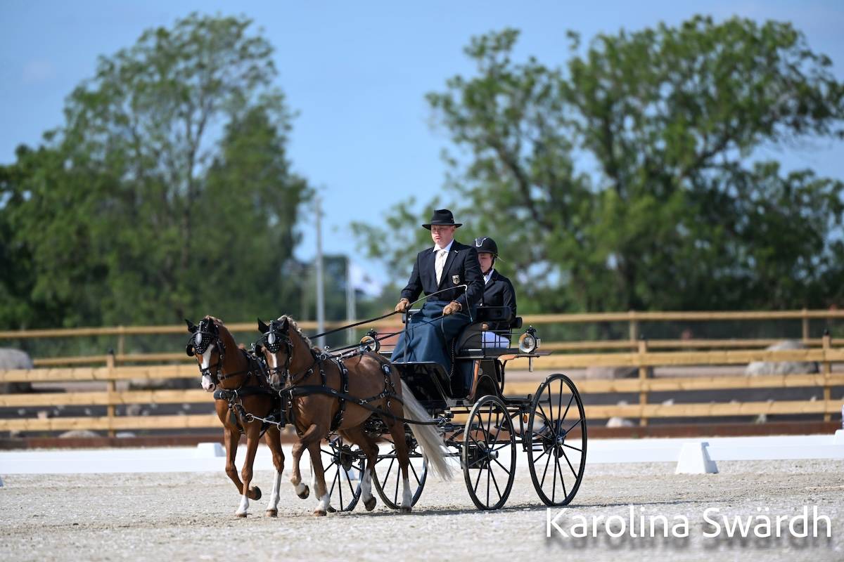 FEI Driving European Championship for U25, Juniors & Children Flyinge 2024: Dressage Thursday