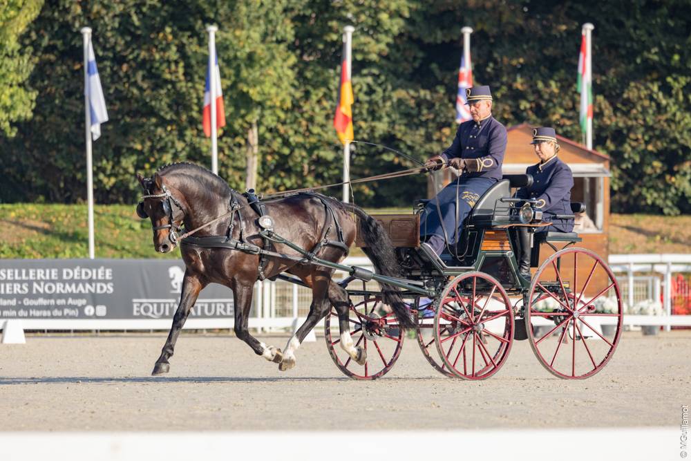 WCH Le Pin 2024: Dressage Friday + Prize Giving