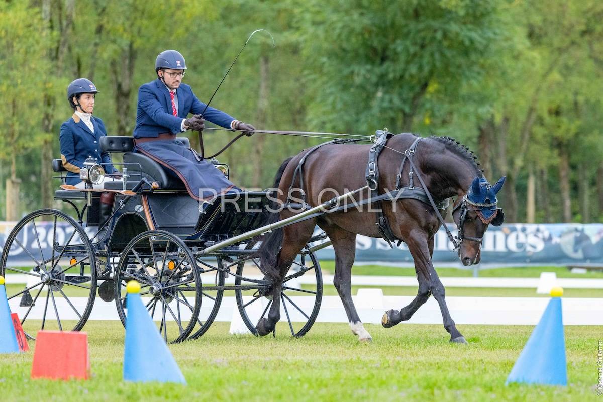 WCH Young Driving Horses Lamotte Beuvron 2024: Dressage Thursday