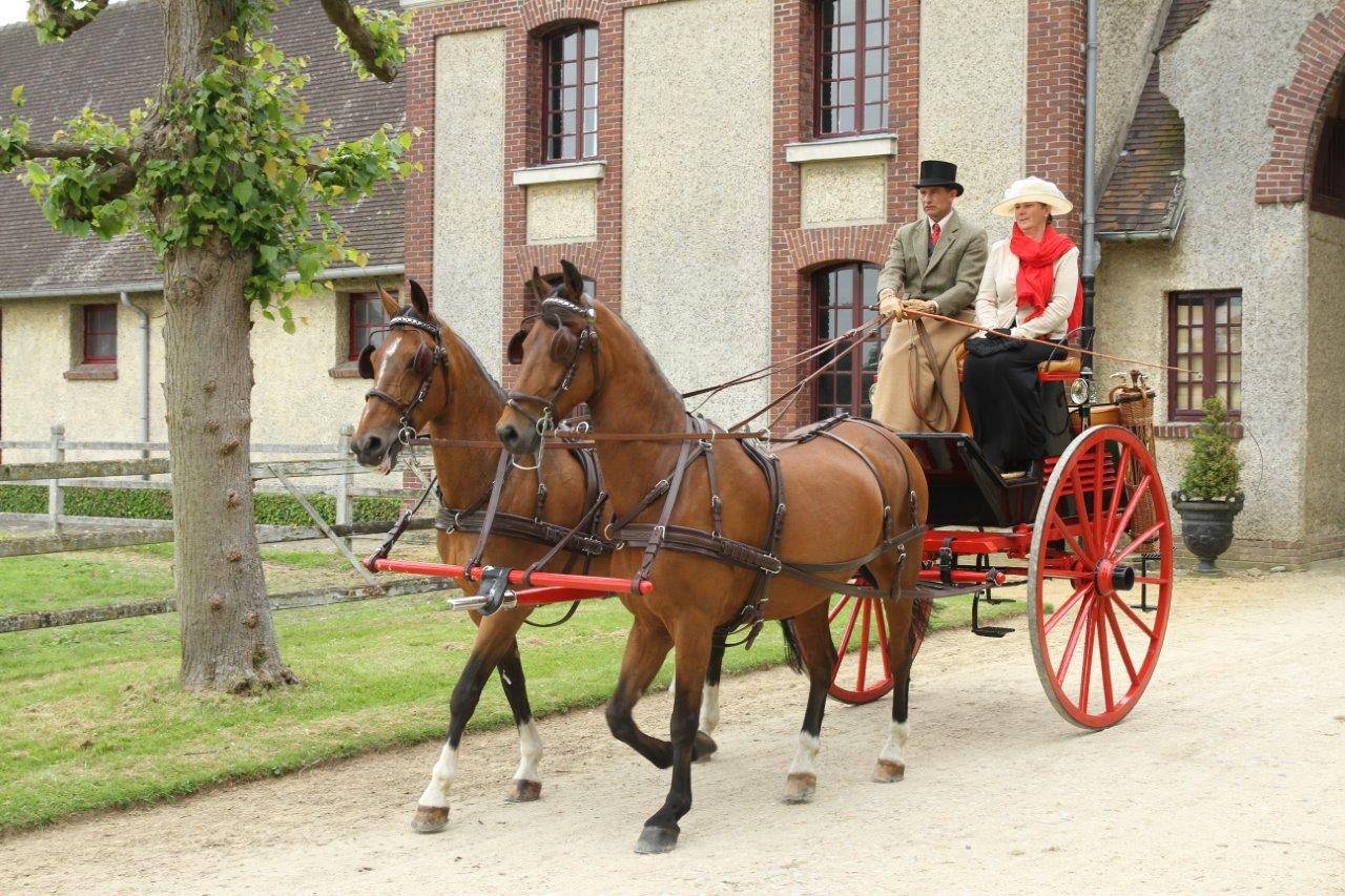 Opblazen Beneden afronden Zeug Kalender 2016 Nederlandse Vereniging Traditioneel Gerij bekend - hoefnet