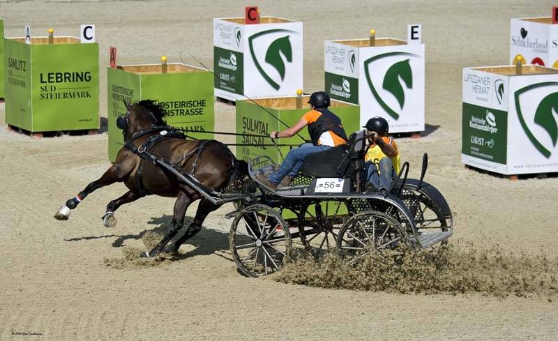 Open dagen Chr van den Heuvel & Zn en Van der Wiel Harness - Mensport