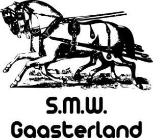 Zeer geslaagde Districtskampioenschappen in Gaasterland